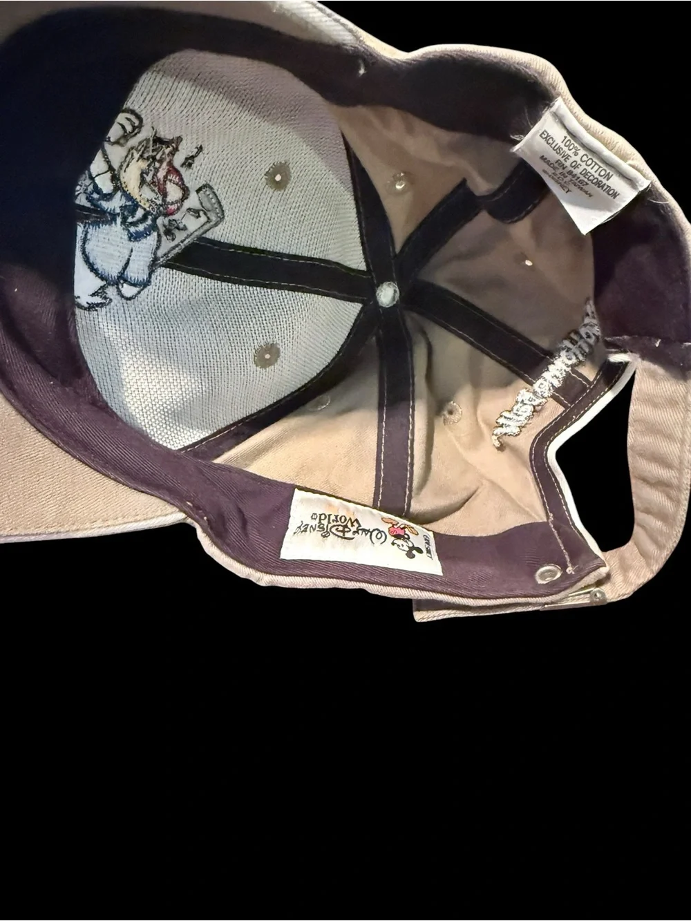 Walt Disney World Donald Duck Go Home Ball Beige Adjustable Baseball Cap Hat